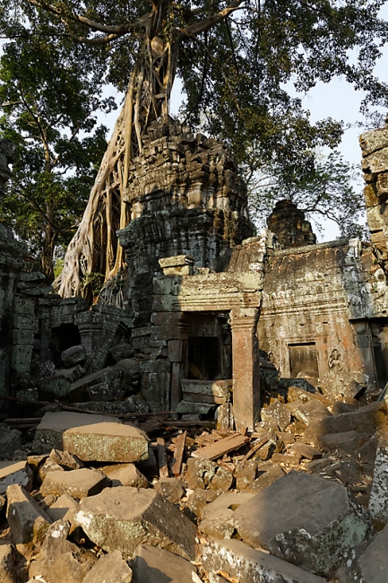 Ta Phrom et environs-119